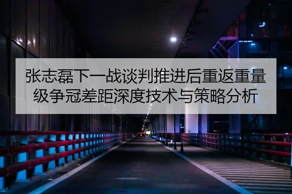 张志磊下一战谈判推进后重返重量级争冠差距深度技术与策略分析